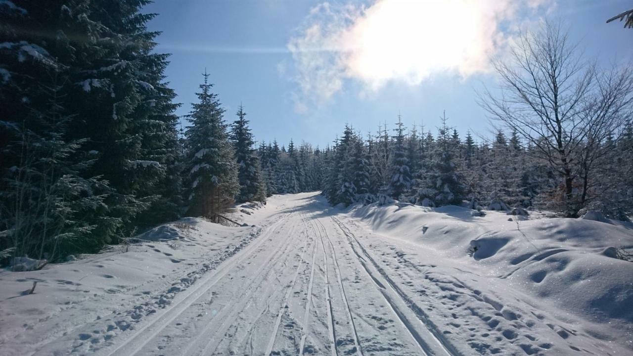 Апартаменты Chata Terezie Червена-Вода Экстерьер фото